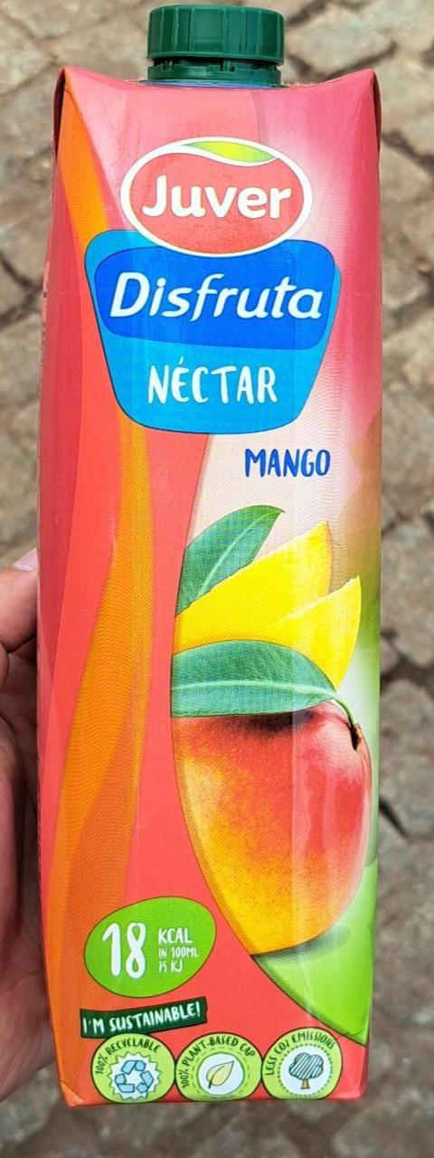 Fotografie - Disfruta néctar mango Juver