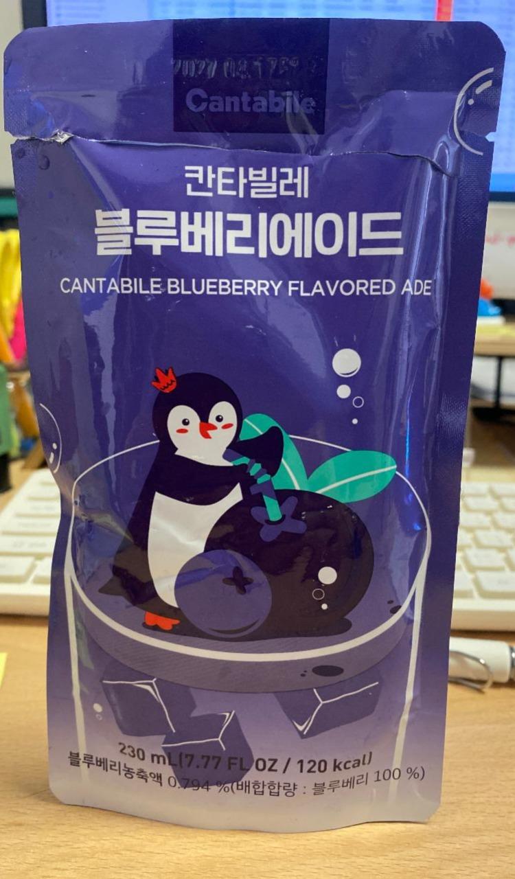 Fotografie - Blueberry flavored ade Cantabile