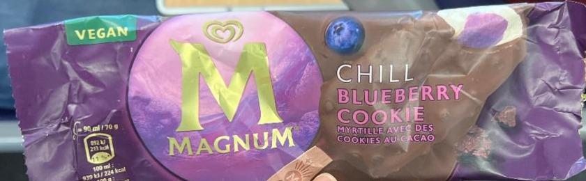 Fotografie - Chill blueberry cookie Magnum