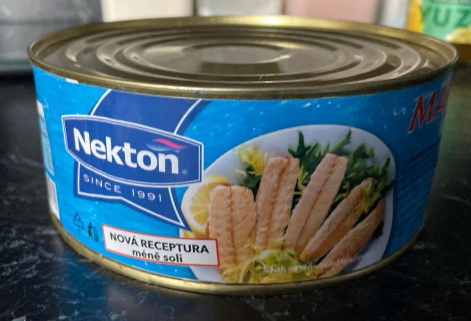 Fotografie - Mackerel in brine Nekton