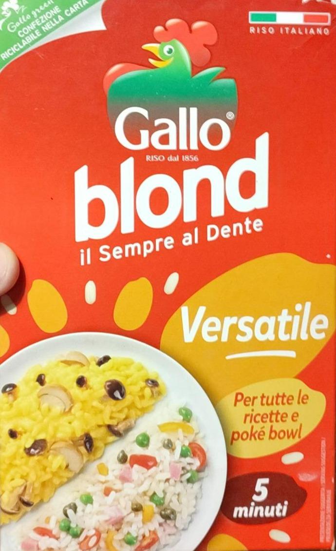 Fotografie - Blond il Sempre al Dente Insalate Gallo