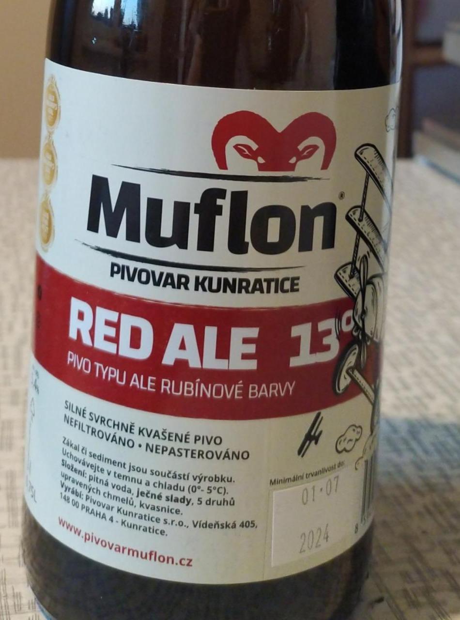 Fotografie - Muflon Red Ale 13°