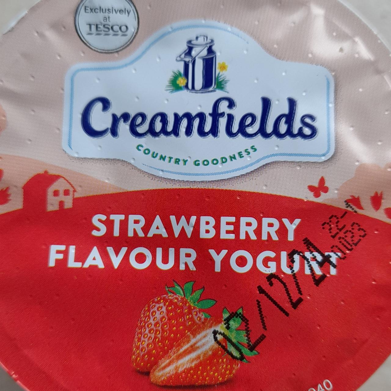 Fotografie - Strawberry flavour yogurt Creamfields