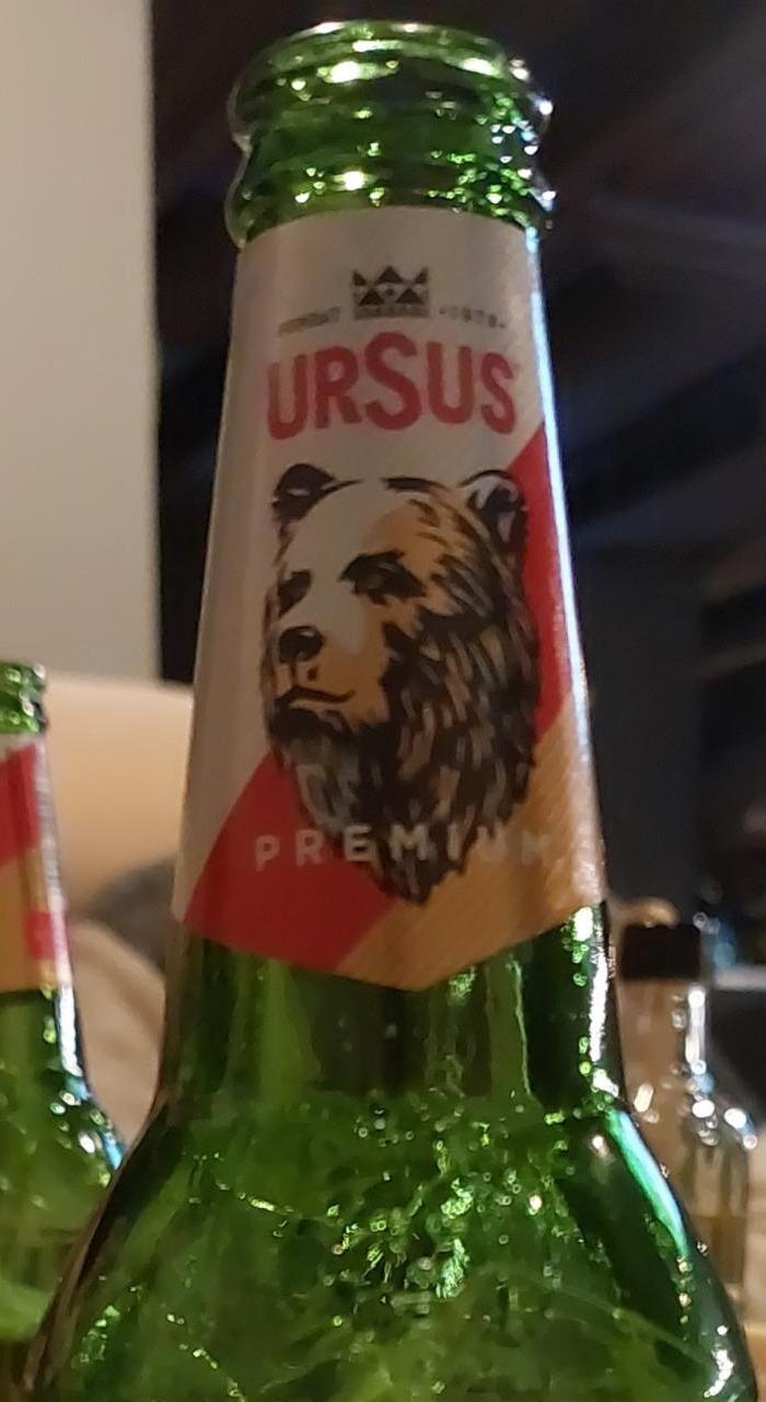 Fotografie - Premium Ursus