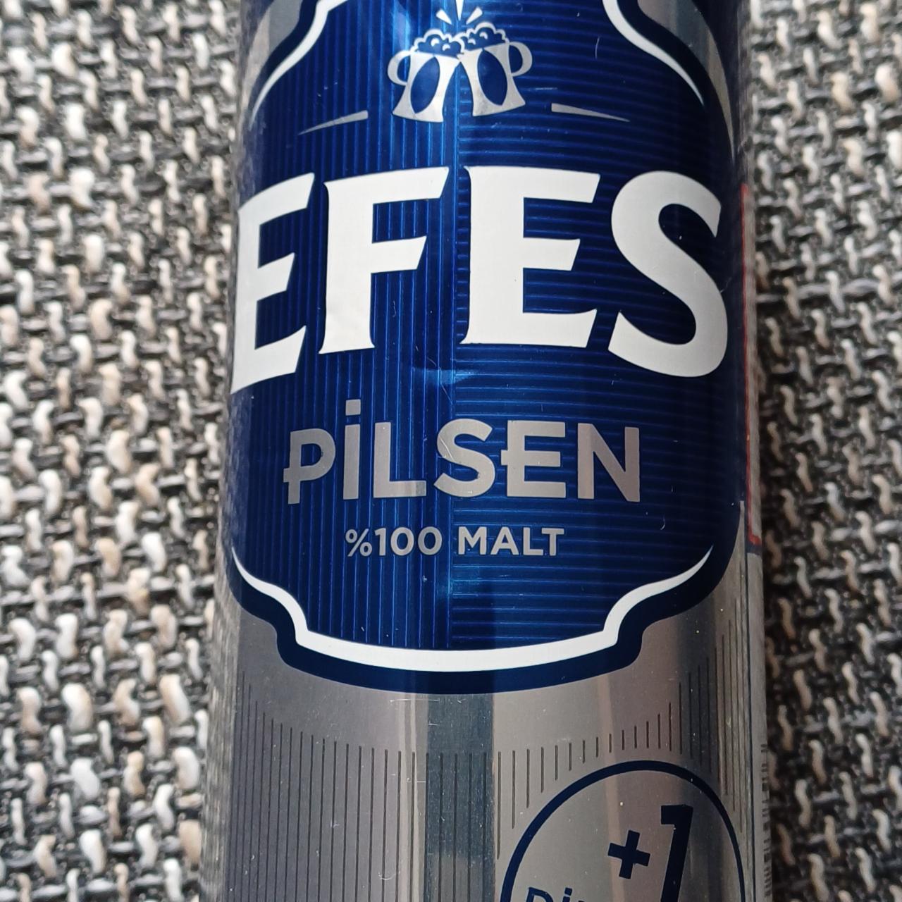 Fotografie - Pilsen 100% malt Efes