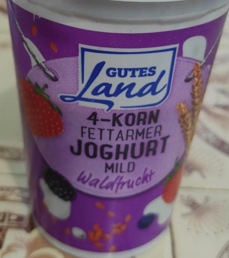 Fotografie - 4 Korn Jogurt mild lesní směs 1,5% tuku