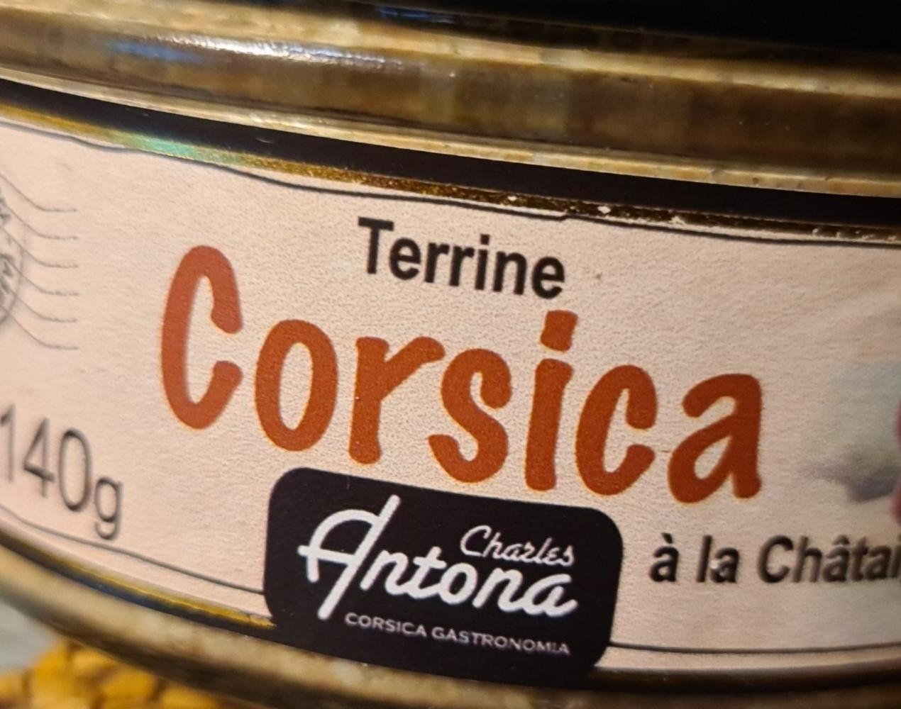 Fotografie - Terrine Corsica Antona