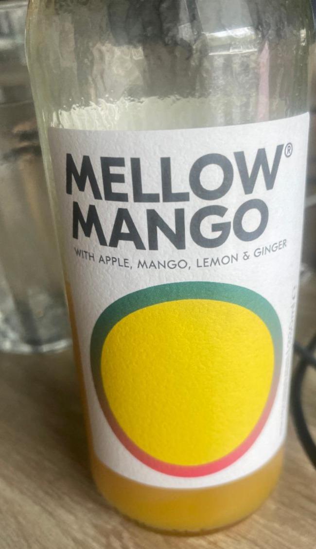Fotografie - Mango with apple, mango, lemon & ginger Mellow
