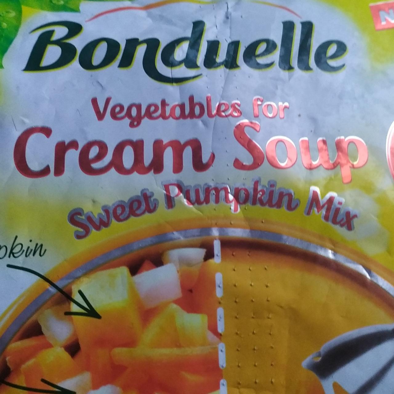 Fotografie - Cream soup swweet pumpkin mix Bonduelle