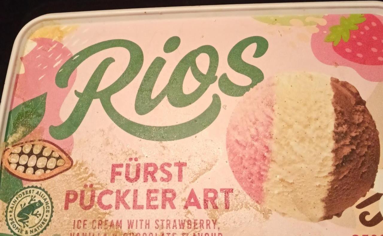 Fotografie - Fürst Pückler art Rios