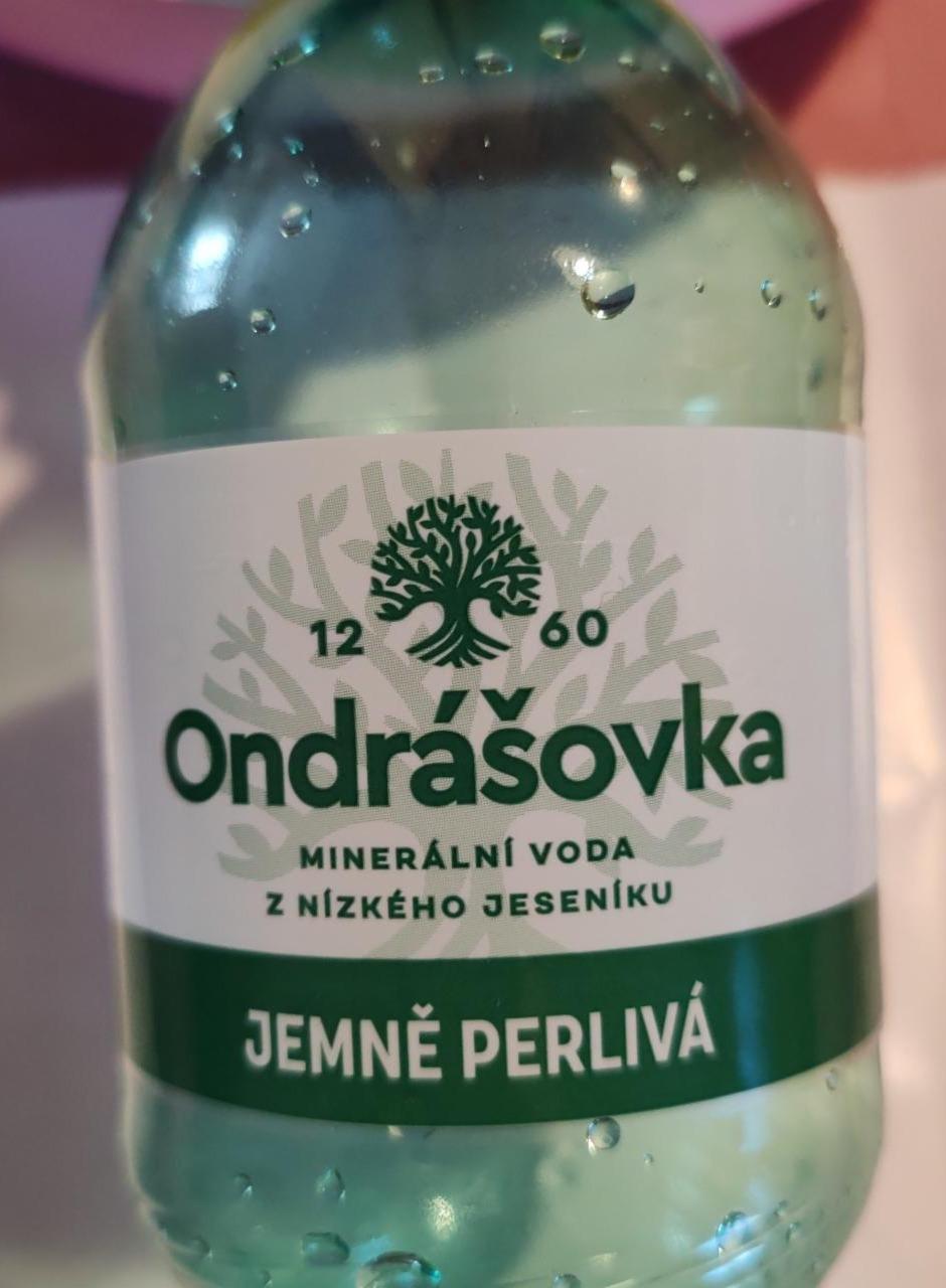 Fotografie - Jemně perlivá Ondrášovka