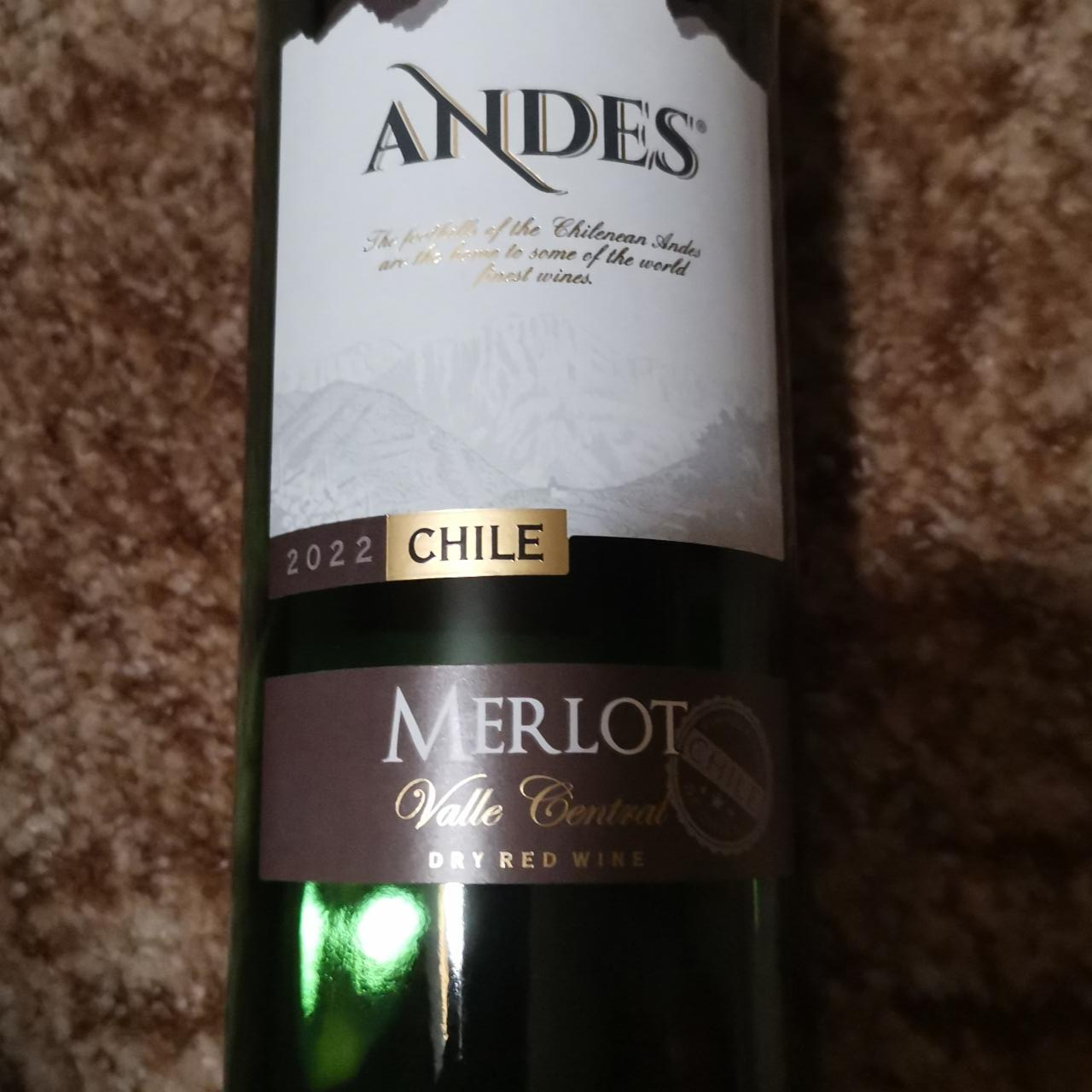 Fotografie - Merlot dry red wine 2022 chile Andes