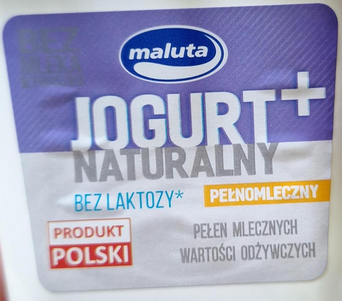 Fotografie - Jogurt+ naturalny pełnomleczny bez laktozy