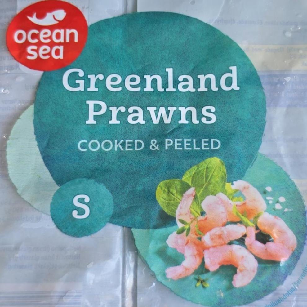 Fotografie - Greenland prawns cooked, peeled & frozen Ocean Sea