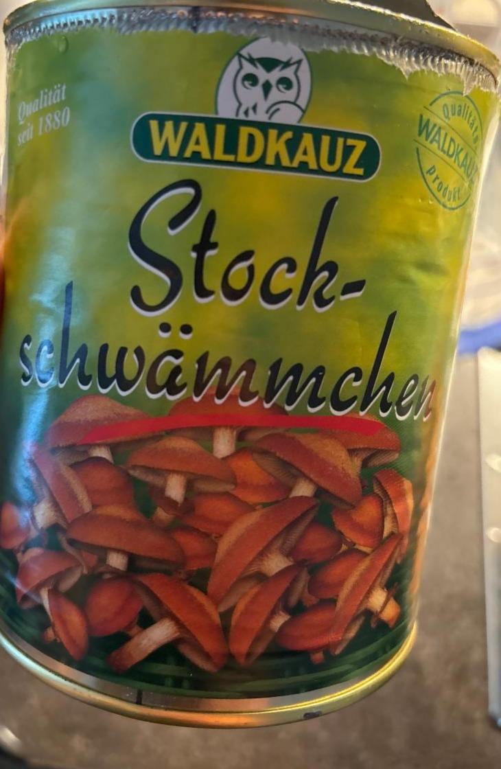 Fotografie - Stock-schwämmchen Waldkauz