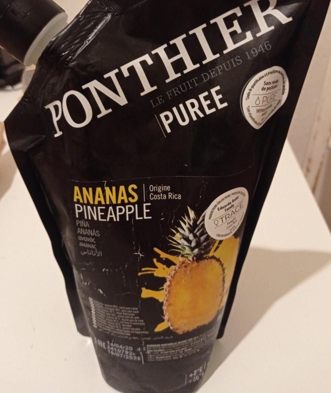 Fotografie - Ananas puree Ponthier