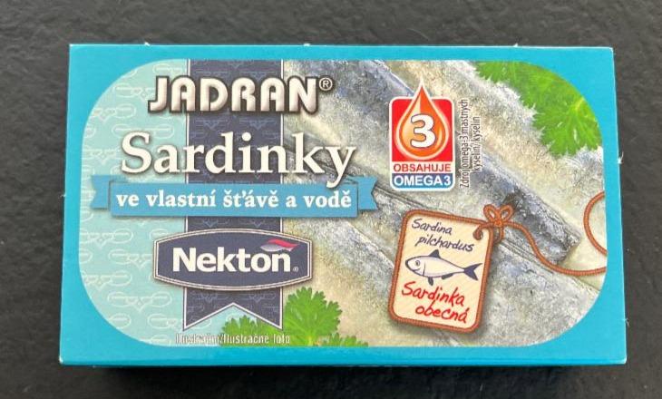 Fotografie - Jadran Sardinky ve vlastní šťávě a vodě Nekton