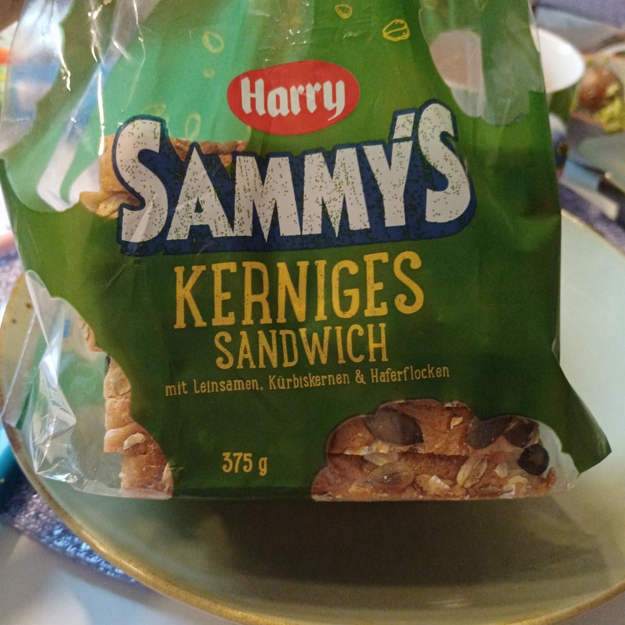 Fotografie - Sammy's Kerniges Sandwich Harry
