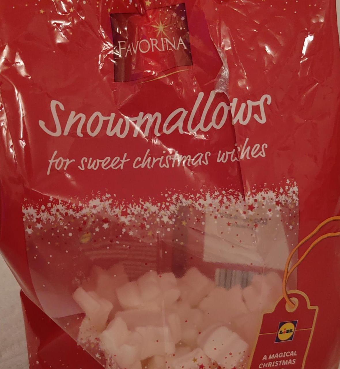 Fotografie - Snowmallows Favorina