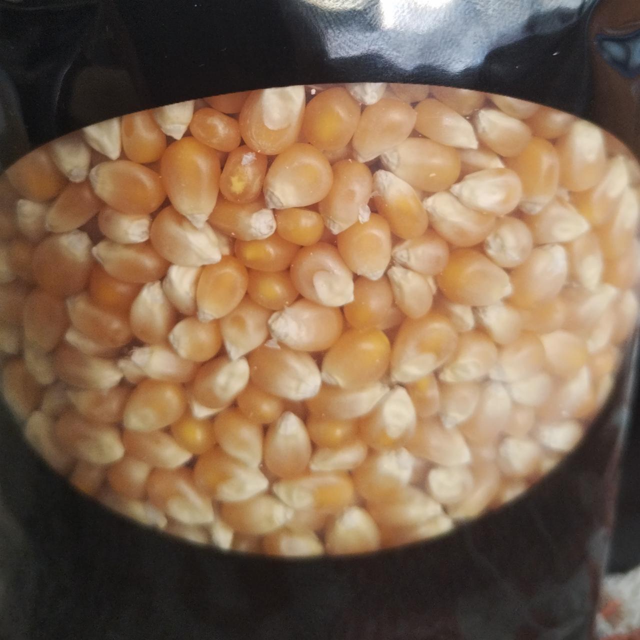 Fotografie - Premium butterfly kukuřice na slaný popcorn Popkornovač