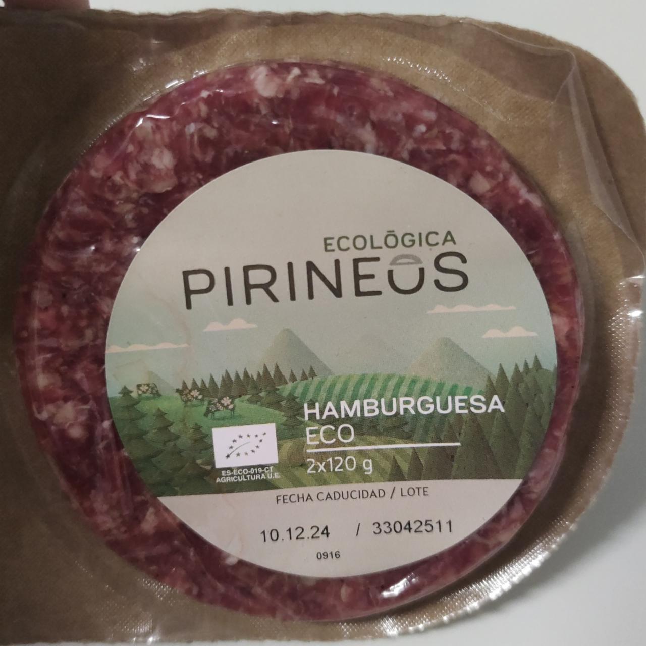 Fotografie - Hamburguesa eco Ecológica Pirineos