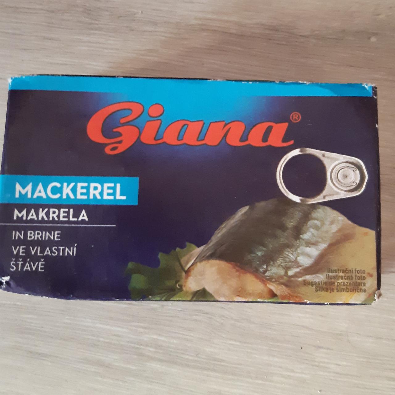 Fotografie - Makrela ve vlastní šťávě Giana