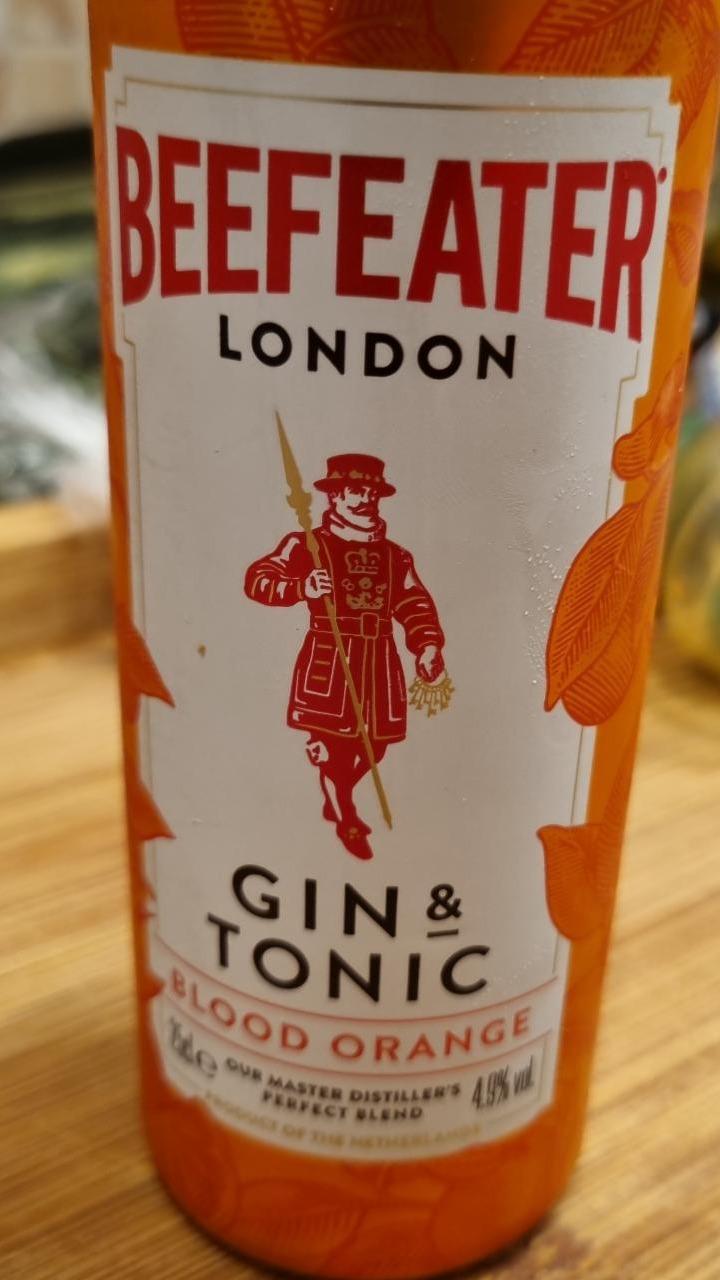 Fotografie - Gin&Tonic Blood Orange Beefeater