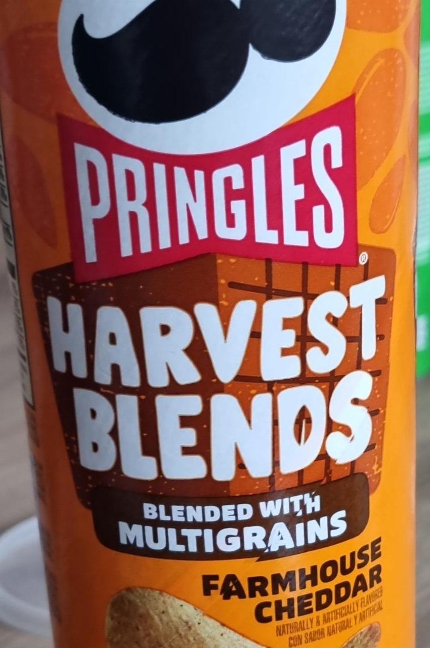 Fotografie - Harvest blends farmhouse cheddar Pringles