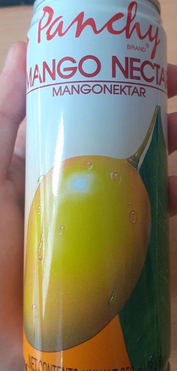 Fotografie - Mango nectar Panchy