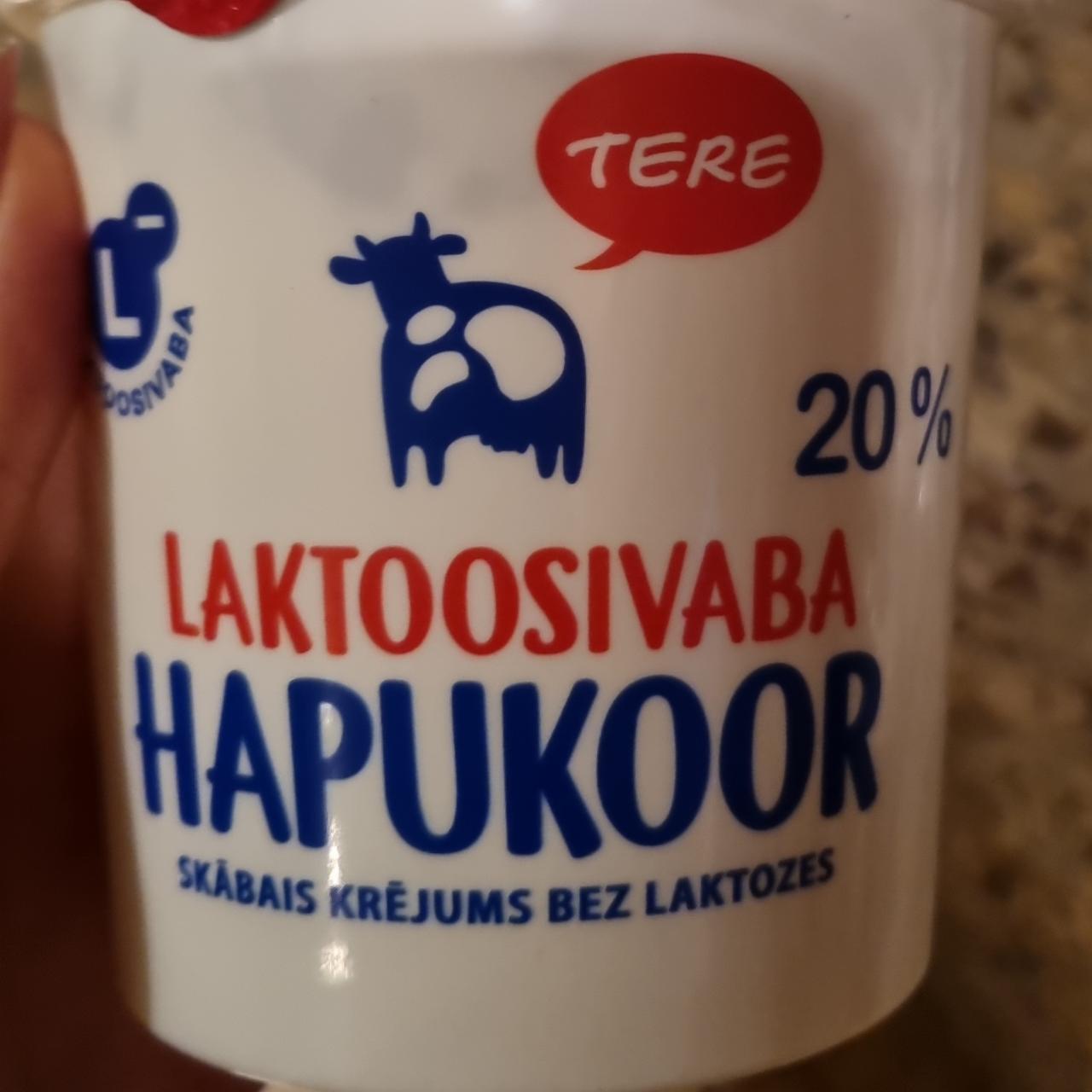 Fotografie - Laktoosivaba hapukoor 20% Tere