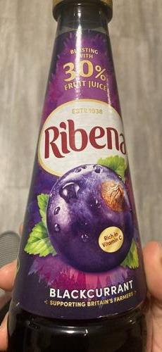 Fotografie - Blackcurrant Ribena