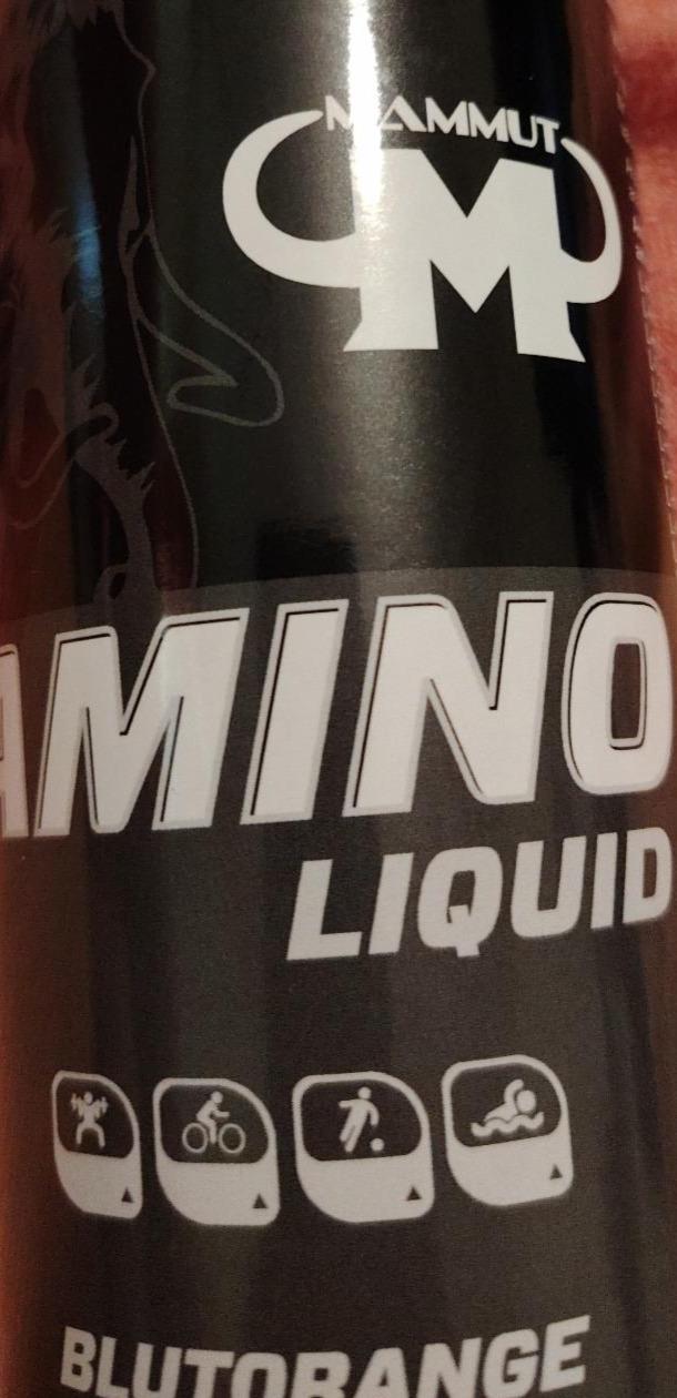 Fotografie - Amino liquid Blutorange Mammut