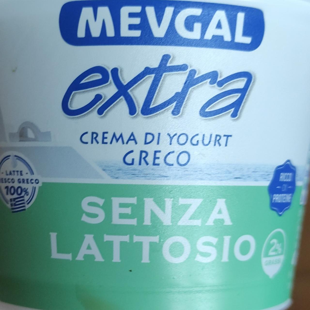 Fotografie - Extra crema di yogurt senza lattosio 2% grassi Mevgal