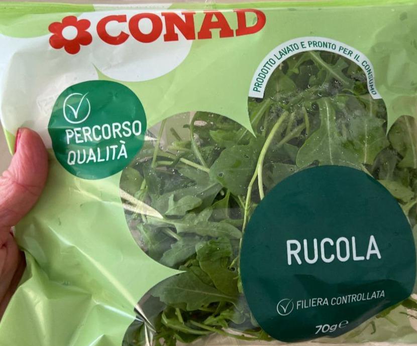 Fotografie - Rukola Conad