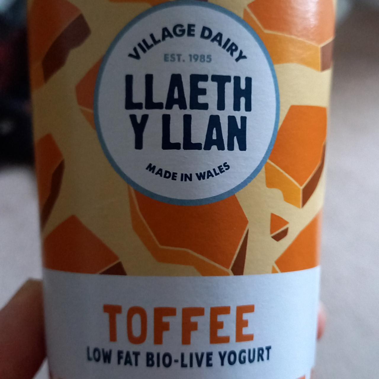 Fotografie - Llaeth y llan toffee low fat bio-live yogurt Village Dairy