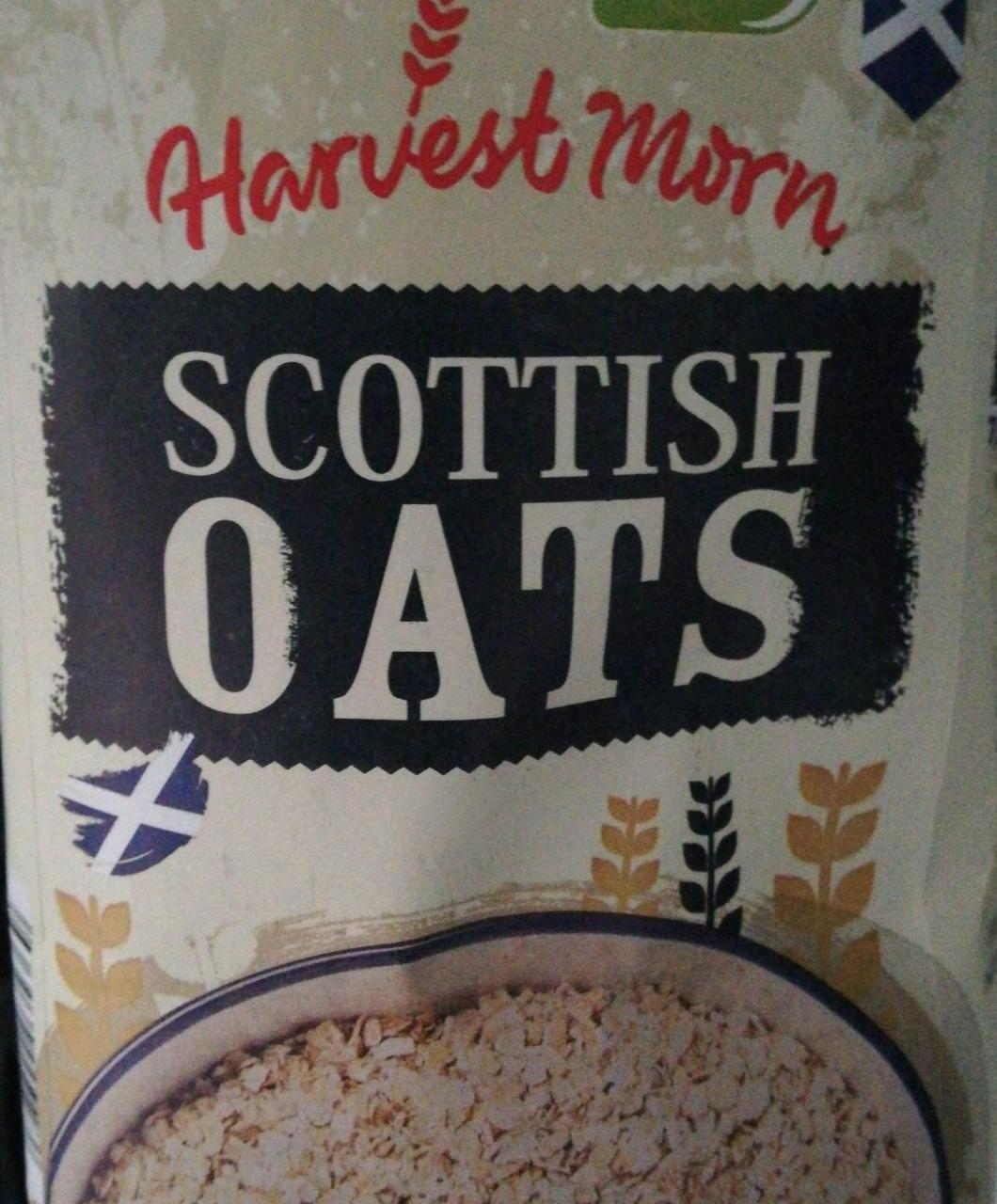 Fotografie - Scottish oats Harvest Morn