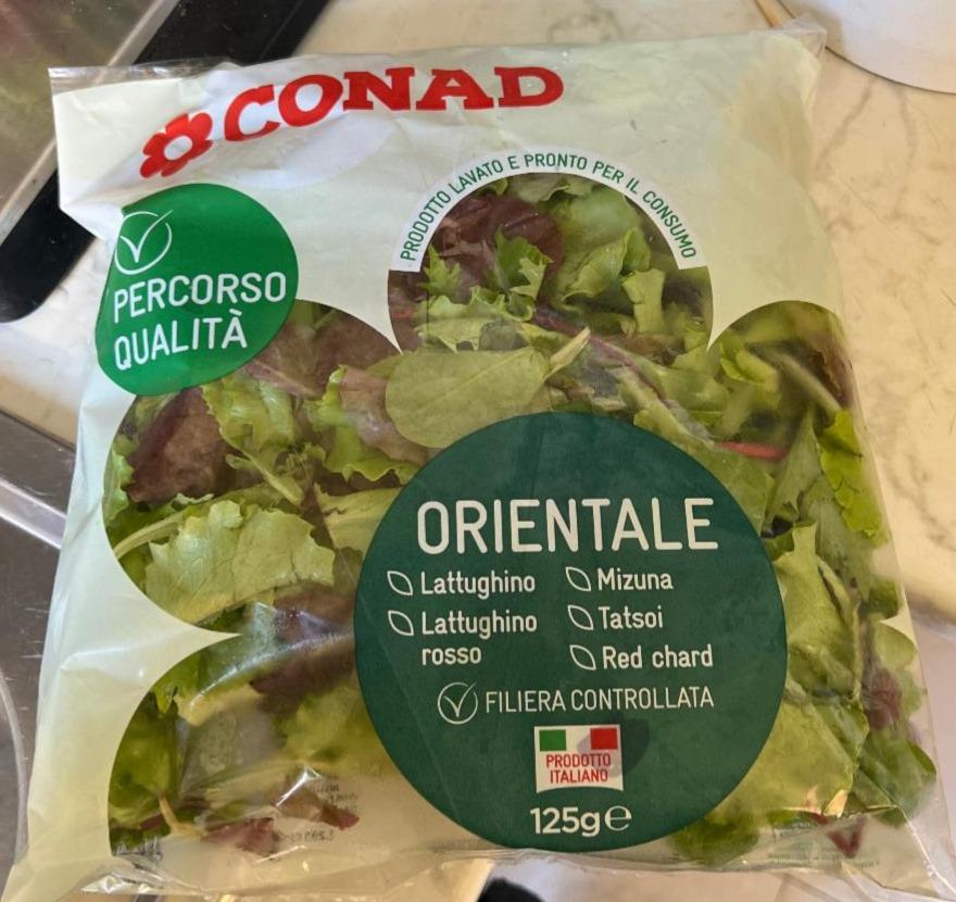 Fotografie - Orientale Conad