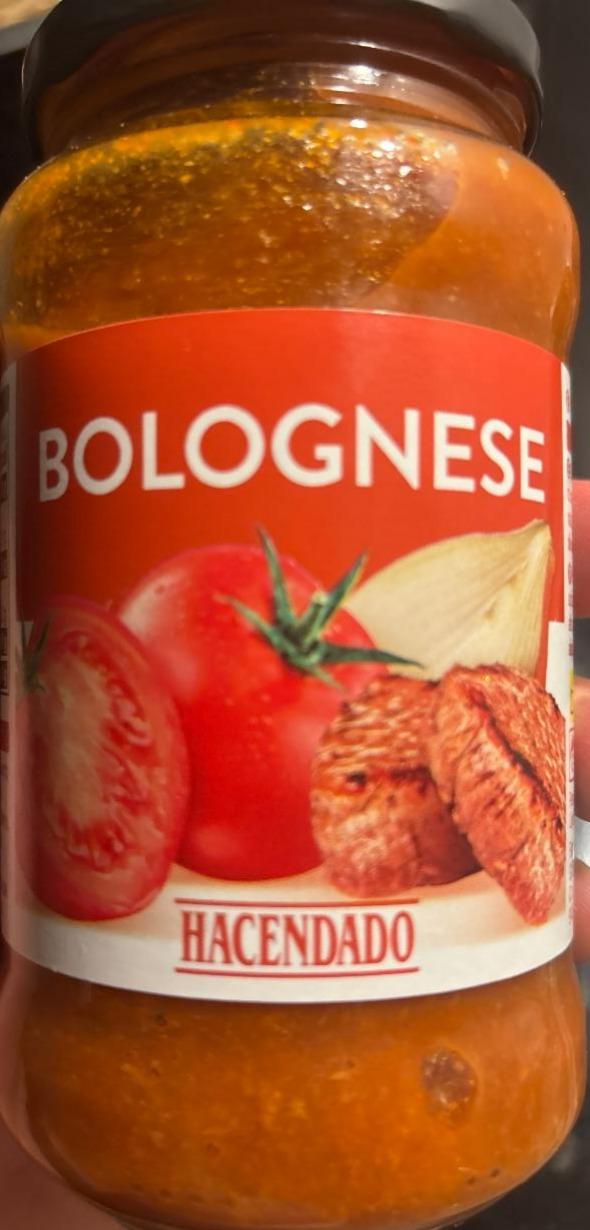 Fotografie - Bolognese Hacendado