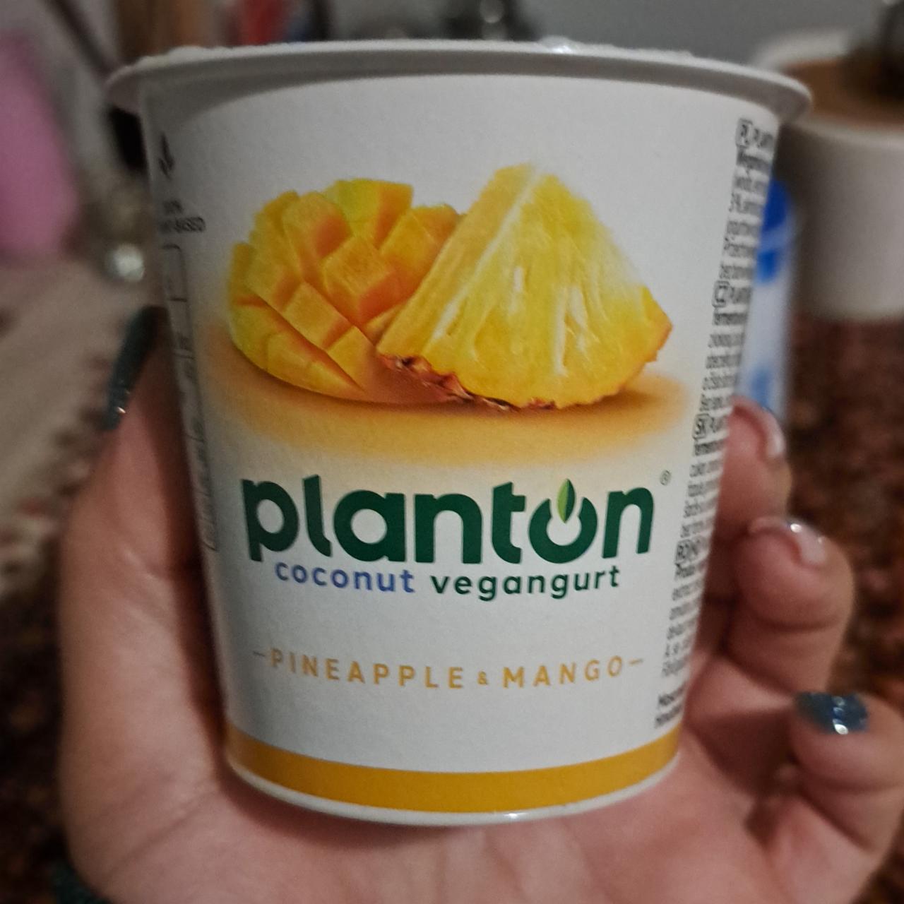 Fotografie - Pineapple & Mango Coconut Coconut Vegangurt Planton