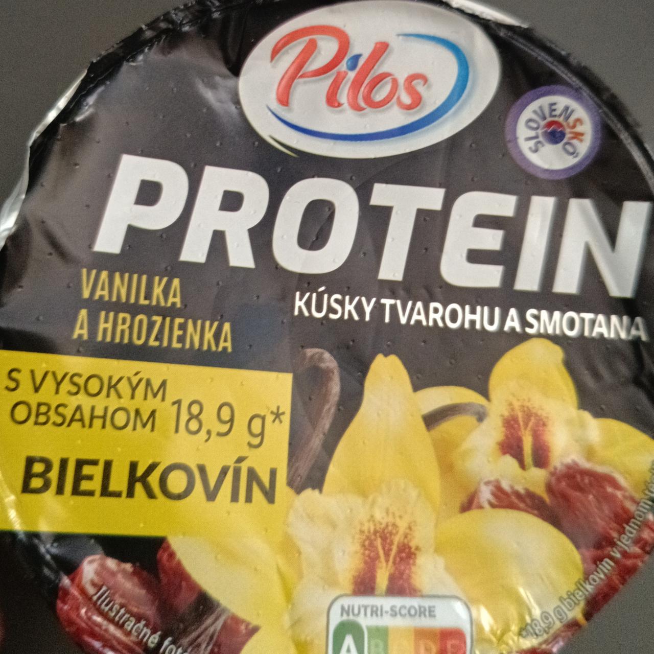 Fotografie - Protein kousky tvarohu a smetana vanilka rozinky Pilos