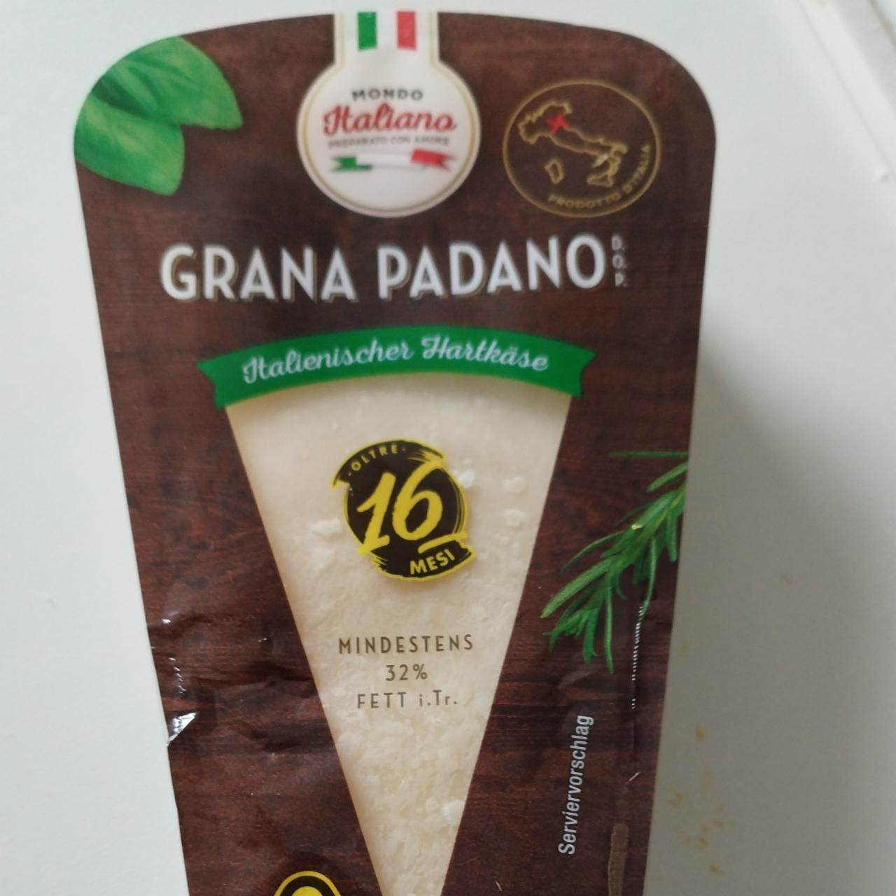 Fotografie - Grana Padano italiano