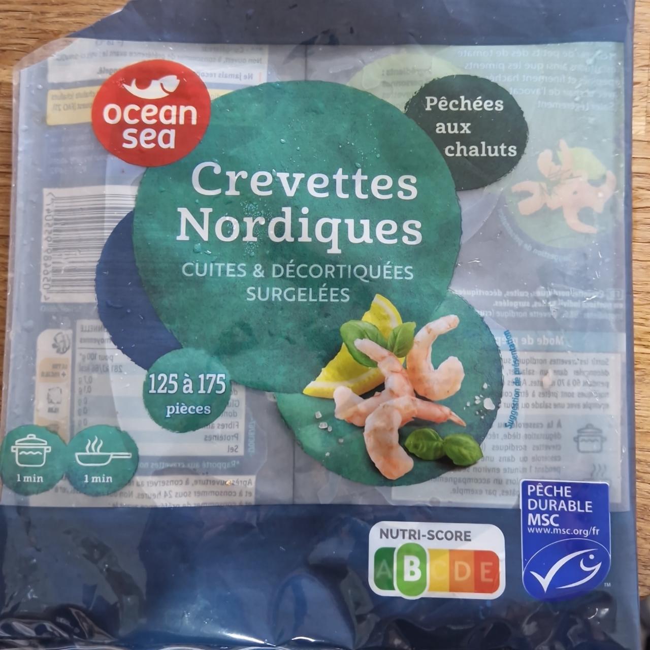 Fotografie - Crevettes nordiques Ocean Sea