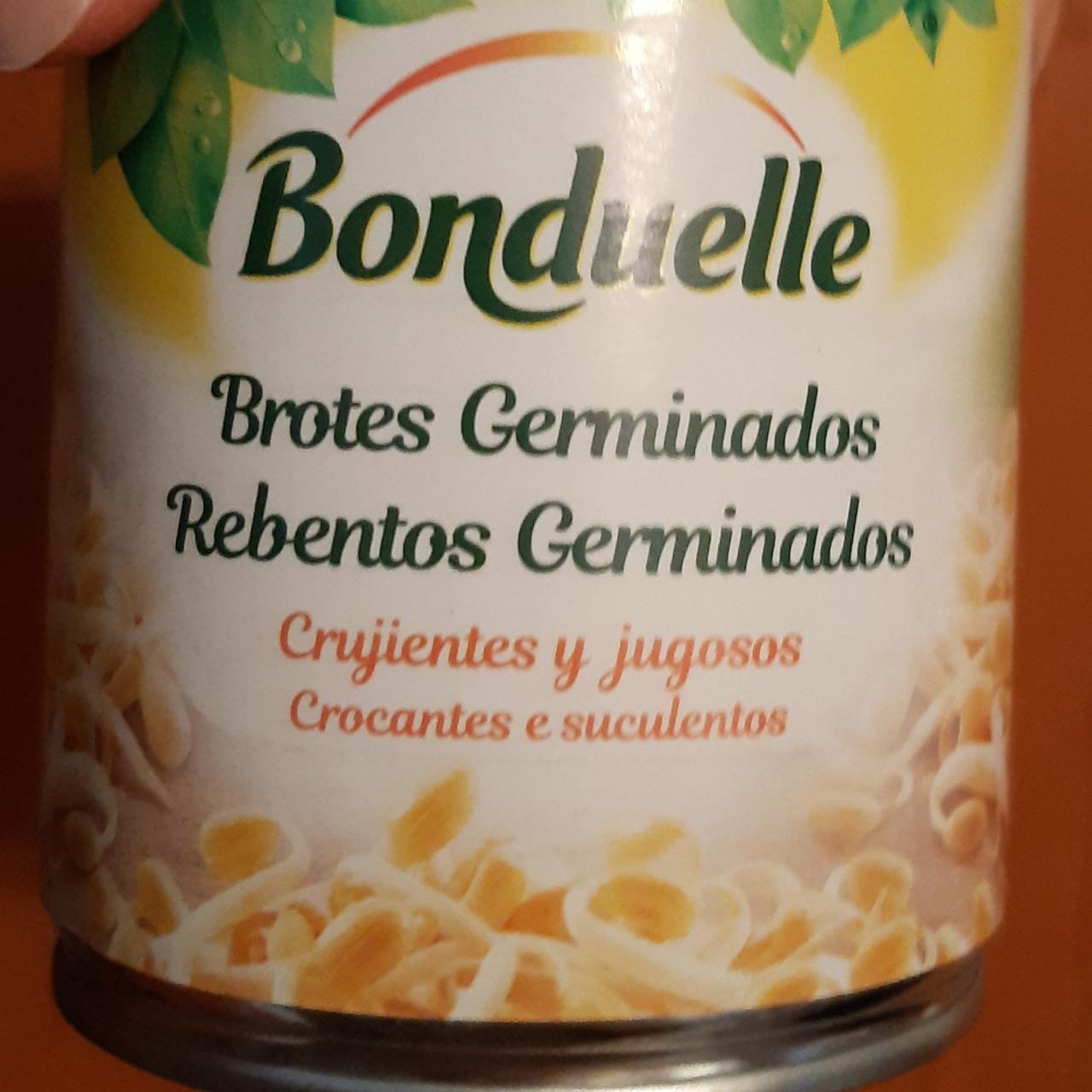 Fotografie - Brotes Germinados Bonduelle